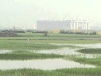 Identify wetlands within a week: NGT tells govt.