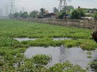 Degradation of floodplain wetland poses threat to Pampa