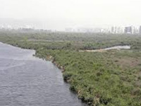 Guj govt plans to de-silt 13,000 water bodies ahead of monsoon