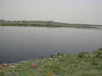 Action plan fails to clean Yamuna