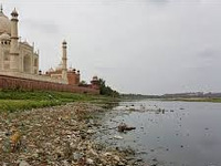 NGT notice to Centre, state govt on solid waste disposal in Agra