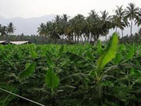 Niti Aayog ranks Maharashtra most farmer-friendly state