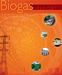 Facilitation of large-scale uptake of alternative transport fuels in South Africa: the case for biogas