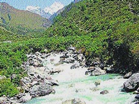 Activists oppose Pancheshwar dam