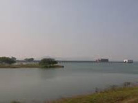 Flesh in Indira dam: Pollution board to test water