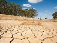 98 taluks in 26 districts to be declared drought-hit