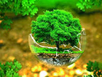 India Ranks 75th In Environmental Impact Survey: Report