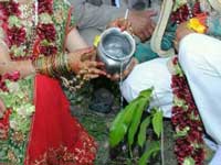 'Green Marriage' to create environmental awareness