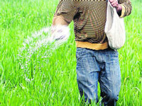 Natural fertiliser to replace chemical fertiliser with no harm to environment