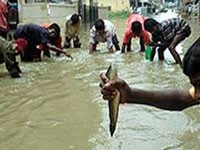 Life limping to normalcy in flood-hit S-E Bengaluru