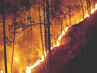 State battling encroachments & forest fires