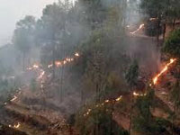 Paramilitary forces receive training on forest fire management