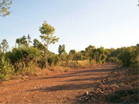 Don’t say ‘diversion’ of forest land, say ‘reforestation’: Prakash Javadekar