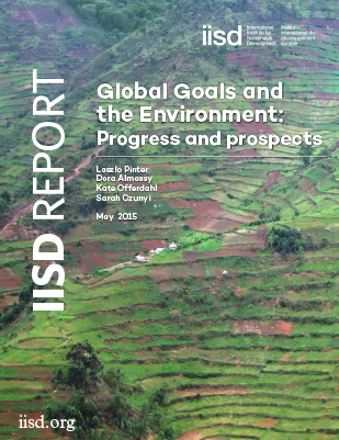 Global goals and the environment: progress and prospects