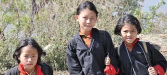 SAARC development goals mid-term review report 2011: Bhutan