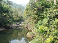 Western Ghats: five States yet to submit reports