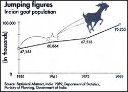 Environmental scapegoats 