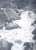 Rivers from Himalayan major uranium source