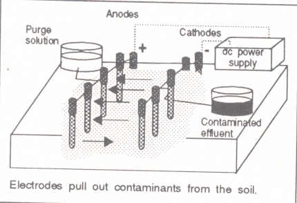 Using electricity to draw out pollutants from soil