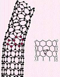 The secret of carbon  nanotubes 