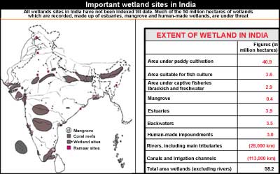 Wetlands or wastelands? 