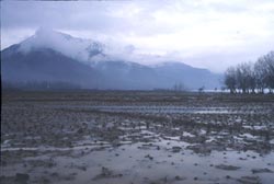 J&K s Wullar lake rid of encroachments