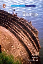 Book review: Waterlines by Amita Baviskar