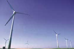 India`s renewable energy sector lacks clear policy