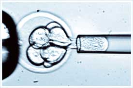 Human stem cells without destroying embryo