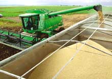 EC stops import of US long grain rice