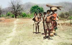 No healthcare for Simplipal tribals in Orissa