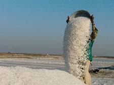 Saltpan workers in Gujarat served eviction notice from sanctuary