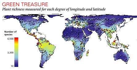 New global map that charts plant diversity
