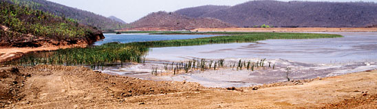 Uranium mine waste imperils villages in Jaduguda  