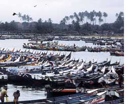 Trawlers keep off Kerala coast