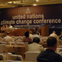 The Bali roadmap for global climate policy: new horizons and old pitfalls