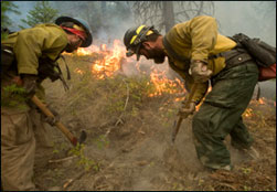 Climate change drives Wildfires