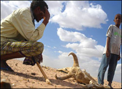 Impacts of climate change: the human factor
