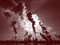 International trade triggering nitrogen pollution: Study