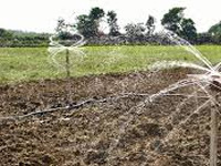 Govt targets to bring ‘mini green revolution’ in Korba district