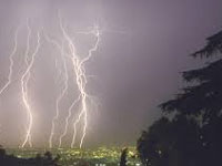 Odisha’s growing lightning deaths due to green cover loss