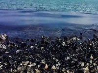 Ennore port set to be showcaused for oil spill