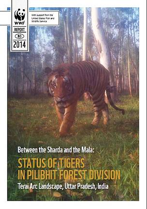 Between the Sharda and the Mala: status of tigers in Pilibhit Forest division