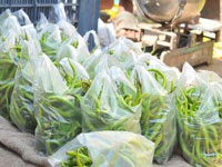 Plastic ban only on paper, bags still being used in markets, shops