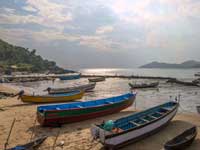 Experts warn of ecological damage, oppose expansion of Tadadi port
