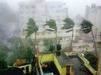 Mumbai lost nearly 400 trees in 2 months of rain