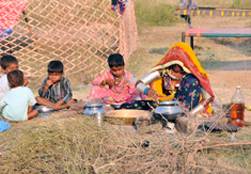Rajasthans 22 districts most food insecure
