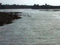 Bombay HC questions Maharashtra government over scrapping river regulation zone policy