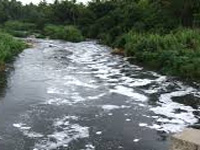 Concern over water quality in Valapattanam river