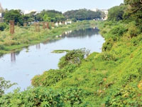 Government expects green nod to speed up eco-restoration of Cooum